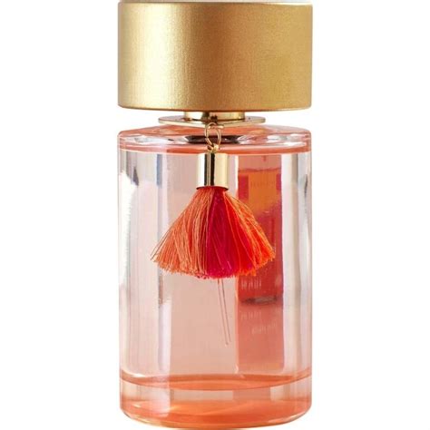 next coral blush perfume dupe|next sun perfume dupe.